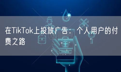 在TikTok上投放广告：个人用户的付费之路