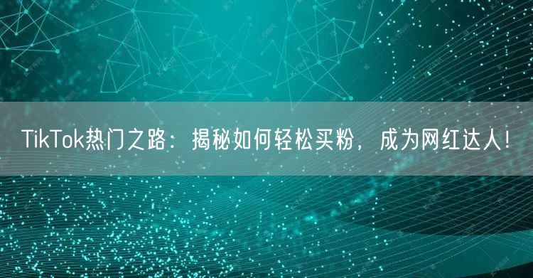 TikTok热门之路:揭秘如何轻松买粉,成为网红达人!