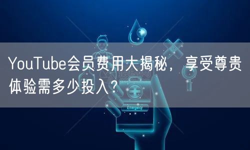 YouTube会员费用大揭秘，享受尊贵体验需多少投入？