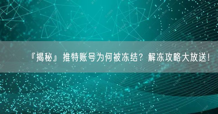 『揭秘』推特账号为何被冻结？解冻攻略大放送！