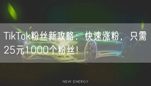 TikTok粉丝新攻略：快速涨粉，只需25元1000个粉丝！