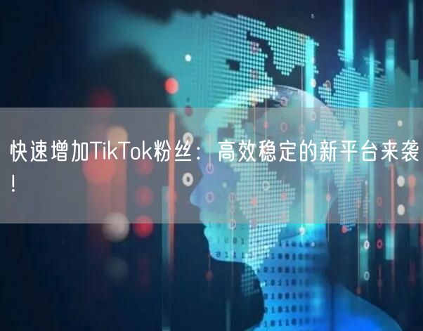快速增加TikTok粉丝：高效稳定的新平台来袭！