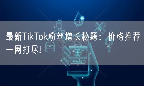 最新TikTok粉丝增长秘籍：价格推荐一网打尽!
