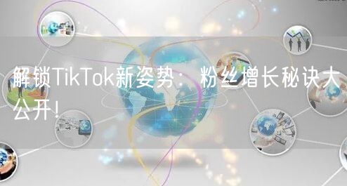 解锁TikTok新姿势:粉丝增长秘诀大公开!