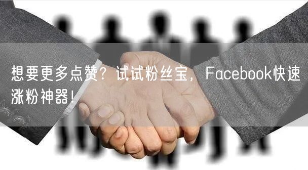 想要更多点赞？试试粉丝宝，Facebook快速涨粉神器！