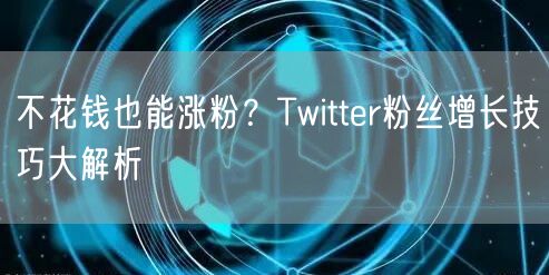 不花钱也能涨粉？Twitter粉丝增长技巧大解析