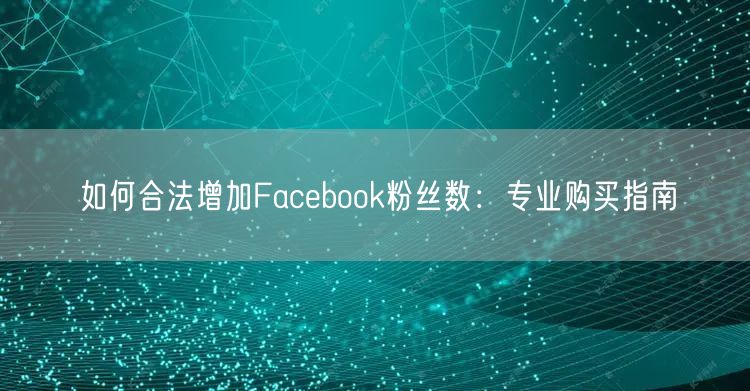 如何合法增加Facebook粉丝数：专业购买指南