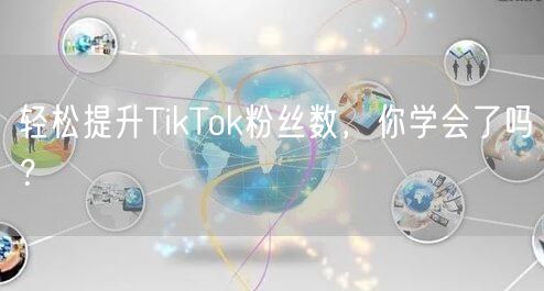 轻松提升TikTok粉丝数,你学会了吗?