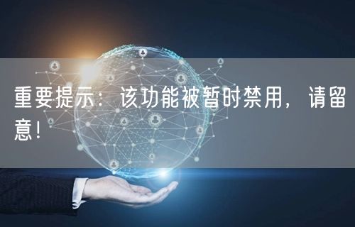 重要提示：该功能被暂时禁用，请留意！