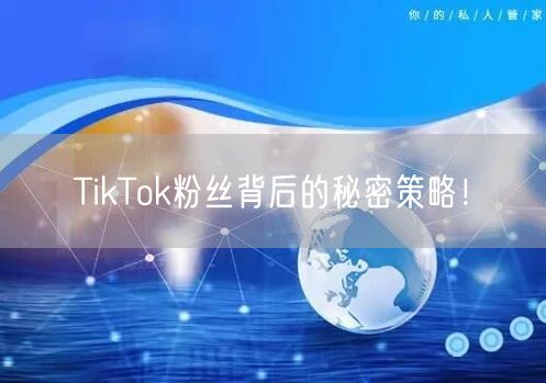 TikTok粉丝背后的秘密策略！