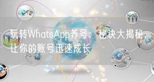 玩转WhatsApp养号：秘诀大揭秘，让你的账号迅速成长
