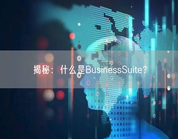 揭秘：什么是BusinessSuite？
