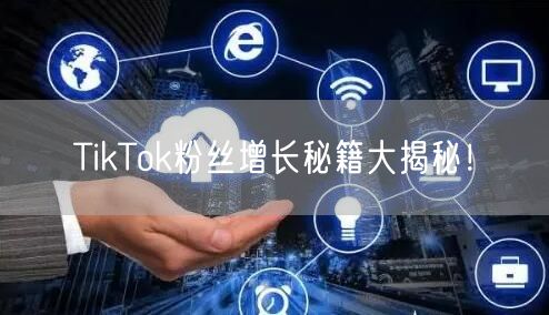 TikTok粉丝增长秘籍大揭秘！