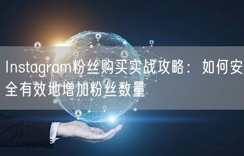 Instagram粉丝购买实战攻略：如何安全有效地增加粉丝数量