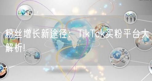 粉丝增长新途径：TikTok买粉平台大解析!