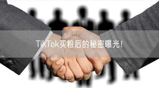 TikTok买粉后的秘密曝光！