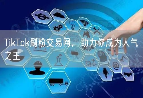 TikTok刷粉交易网，助力你成为人气之王
