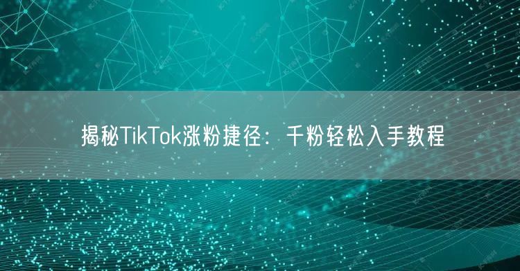 揭秘TikTok涨粉捷径：千粉轻松入手教程