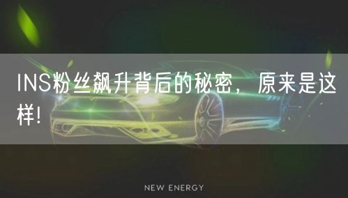 INS粉丝飙升背后的秘密，原来是这样!