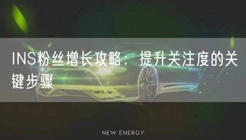 INS粉丝增长攻略：提升关注度的关键步骤