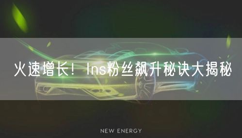 火速增长！Ins粉丝飙升秘诀大揭秘