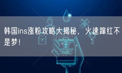 韩国ins涨粉攻略大揭秘，火速蹿红不是梦！