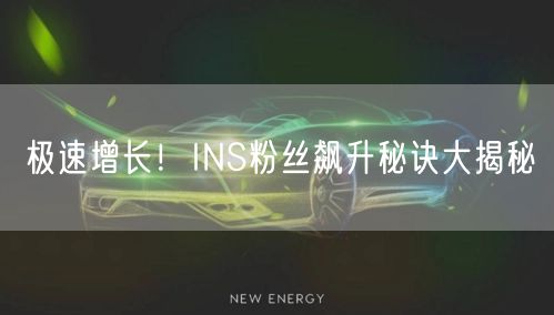 极速增长！INS粉丝飙升秘诀大揭秘