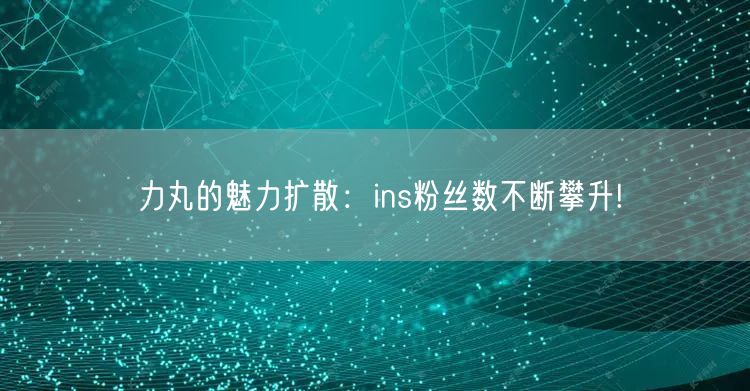 力丸的魅力扩散：ins粉丝数不断攀升!