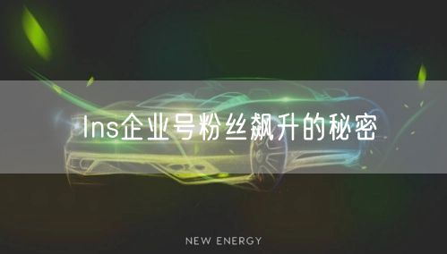 Ins企业号粉丝飙升的秘密