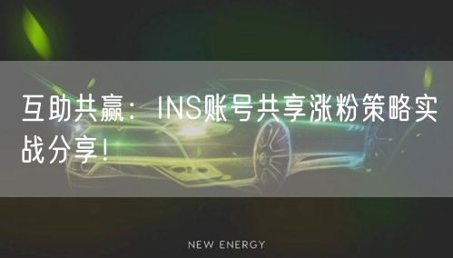 互助共赢：INS账号共享涨粉策略实战分享！