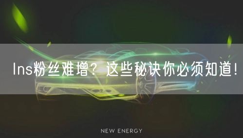 Ins粉丝难增？这些秘诀你必须知道！