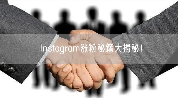 Instagram涨粉秘籍大揭秘！