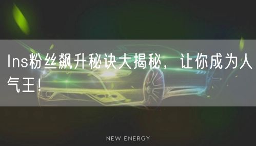 Ins粉丝飙升秘诀大揭秘，让你成为人气王！