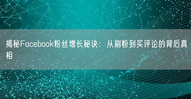 揭秘Facebook粉丝增长秘诀：从刷粉到买评论的背后真相