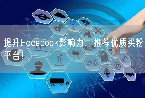 提升Facebook影响力：推荐优质买粉平台！