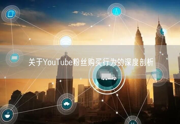 关于YouTube粉丝购买行为的深度剖析
