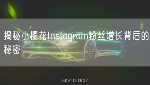 揭秘小樱花Instagram粉丝增长背后的秘密