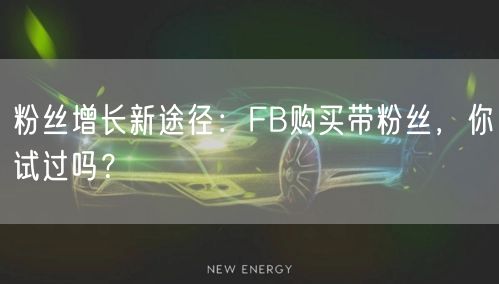 粉丝增长新途径:FB购买带粉丝,你试过吗?