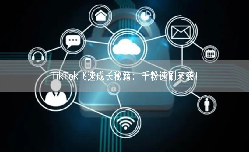TikTok飞速成长秘籍:千粉速刷来袭!