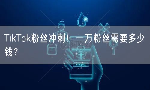 TikTok粉丝冲刺!一万粉丝需要多少钱?