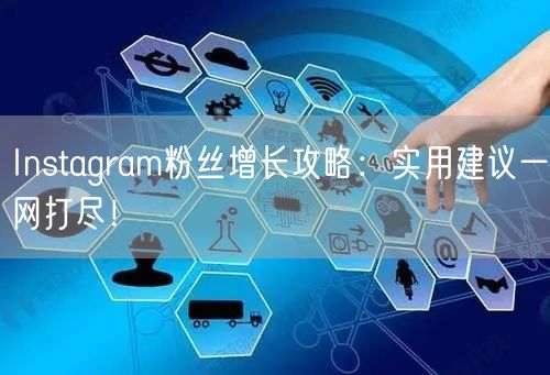 Instagram粉丝增长攻略：实用建议一网打尽！