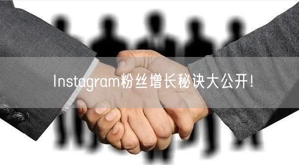 Instagram粉丝增长秘诀大公开！