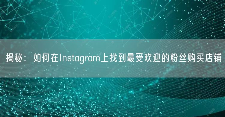 揭秘：如何在Instagram上找到最受欢迎的粉丝购买店铺