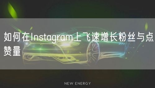 如何在Instagram上飞速增长粉丝与点赞量