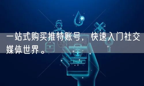 一站式购买推特账号，快速入门社交媒体世界。