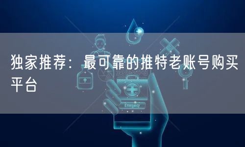 独家推荐：最可靠的推特老账号购买平台