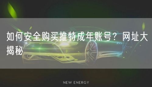 如何安全购买推特成年账号？网址大揭秘
