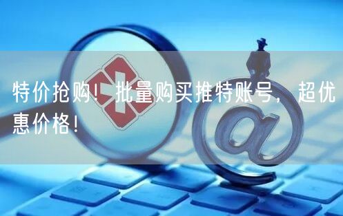 特价抢购！批量购买推特账号，超优惠价格！