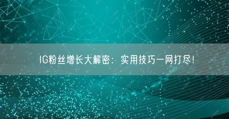 IG粉丝增长大解密:实用技巧一网打尽!