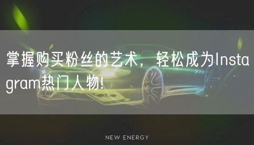 掌握购买粉丝的艺术，轻松成为Instagram热门人物!